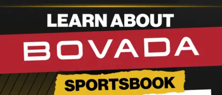 Bovada Legal States
