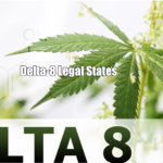 Delta-8 Legal States